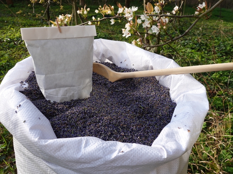 Echte Lavendelblüten aus der Provence "super blau", 50 g