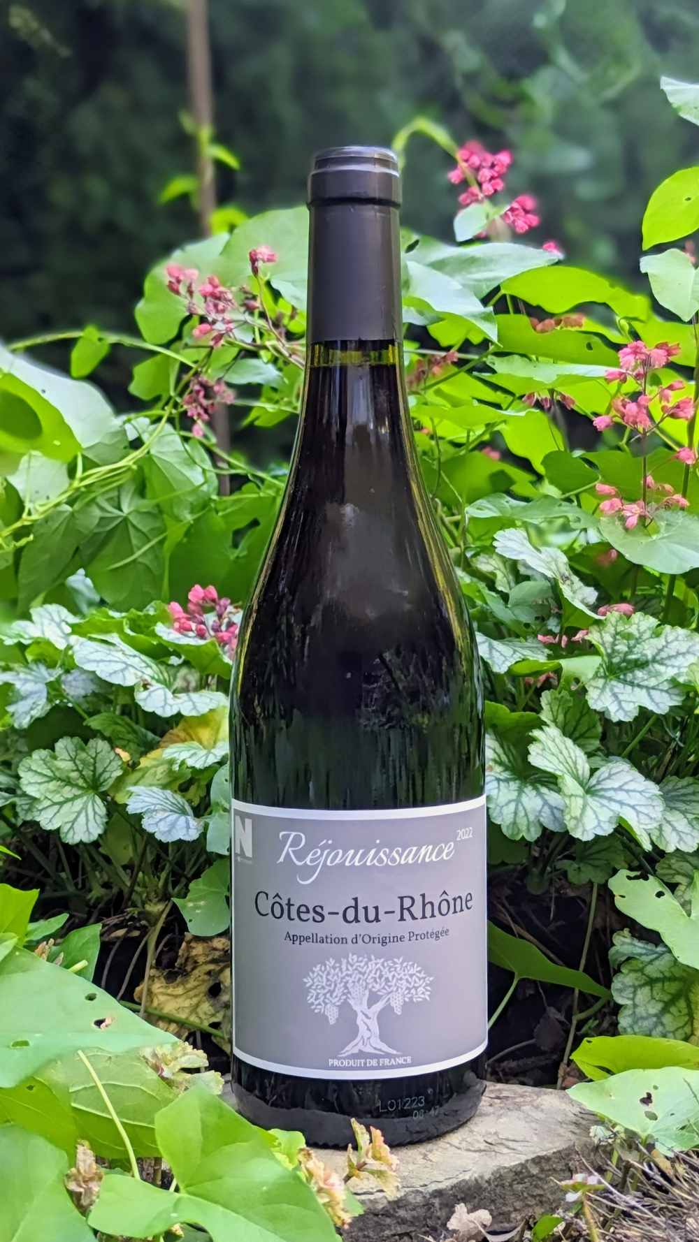 AOP Côtes du Rhône REJOUISSANCE Rouge