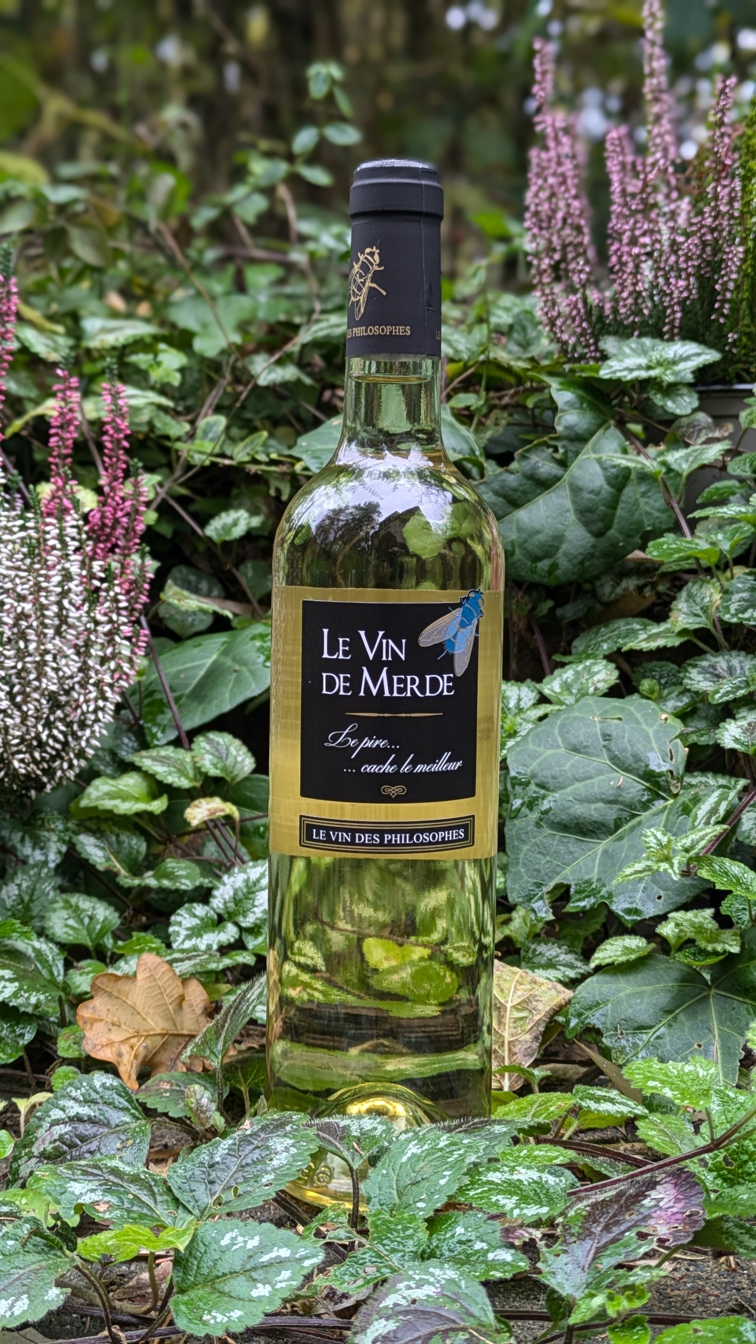 Le Vin de Merde Blanc