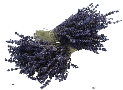 Natürlicher Lavendelstrauß aus der Provence, 30 cm